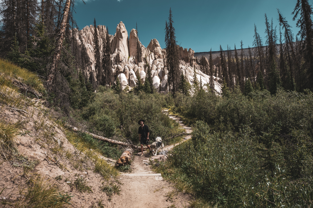 Journey to Valhalla